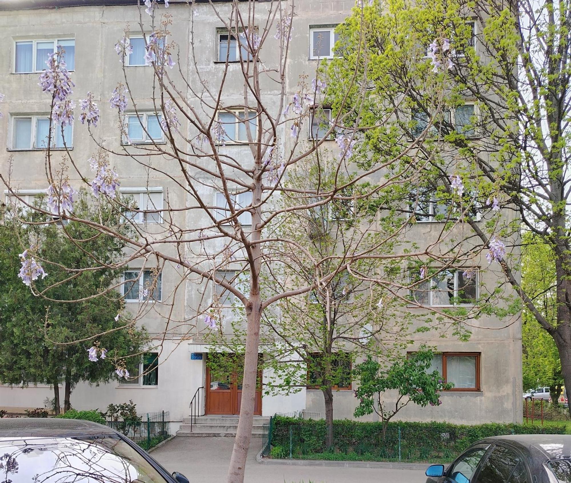 Arka Apartment Craiova Dış mekan fotoğraf